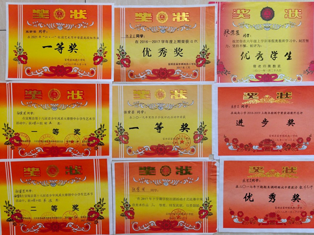 张紫芸的获奖证书、考级证书