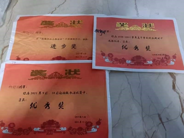 杨舒羽获得的部分奖状